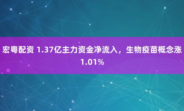 宏粤配资 1.37亿主力资金净流入，生物疫苗概念涨1.01%