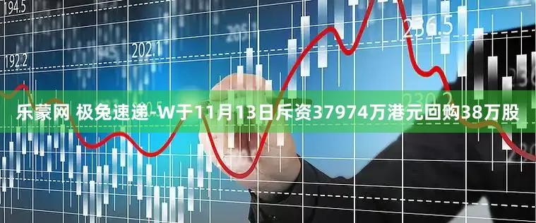 乐蒙网 极兔速递-W于11月13日斥资37974万港元回购38万股